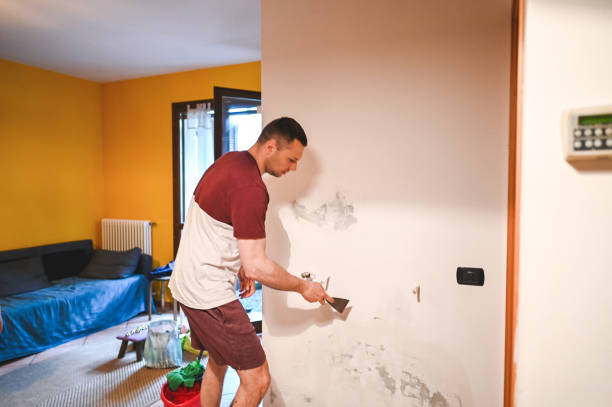 Best Fast Mold Removal  in Greenfield, MN